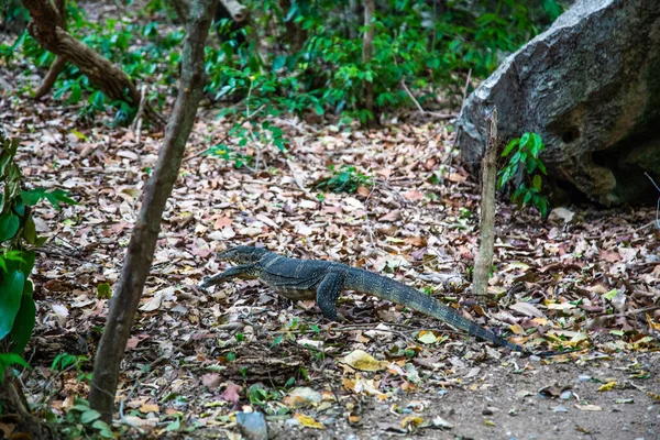Phraya Nakhon Mağarası, Khua Kharuehat Pavillion Tapınağı Khao Sam Roi Yot Ulusal Parkı, Tayland Khiri Han
