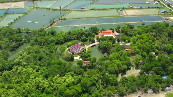 Wat Thap Pho Thong ναός στο Ratchaburi, Ταϊλάνδη — Αρχείο Βίντεο