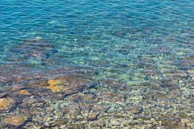 deniz dibinin temiz su ile parlar