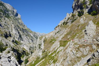 turistler bir dağ yolda
