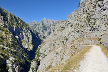 kayalara dağ manzarası görünümünü