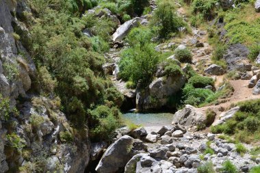 Vadideki dağ nehrinin manzarası