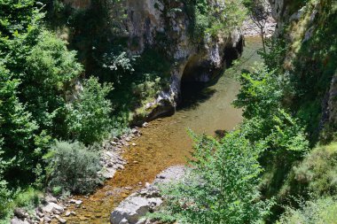 bir kanyonda akan nehir dağ