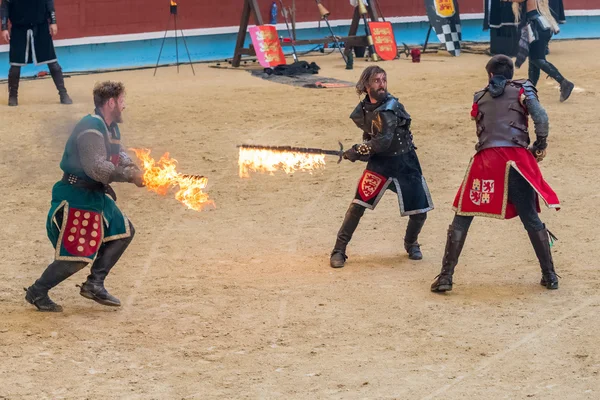 Torneio de cavaleiros medievais — Fotografia de Stock