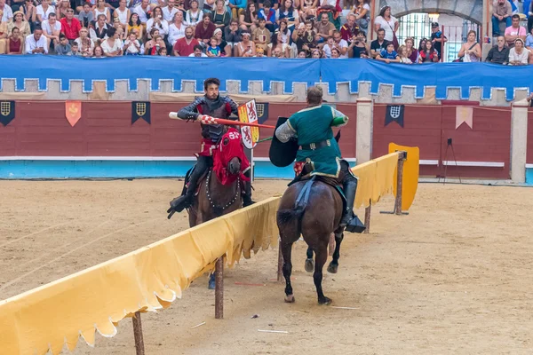 Medieval knights tournament — Stock Photo, Image