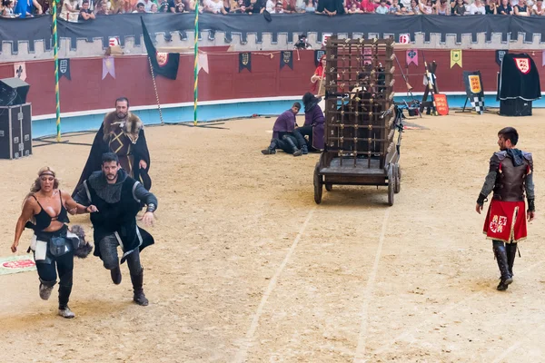 Torneo cavalieri medievali — Foto Stock
