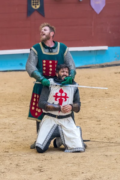 Torneo de caballeros medievales —  Fotos de Stock