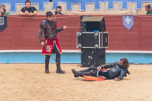 Torneio de cavaleiros medievais — Fotografia de Stock