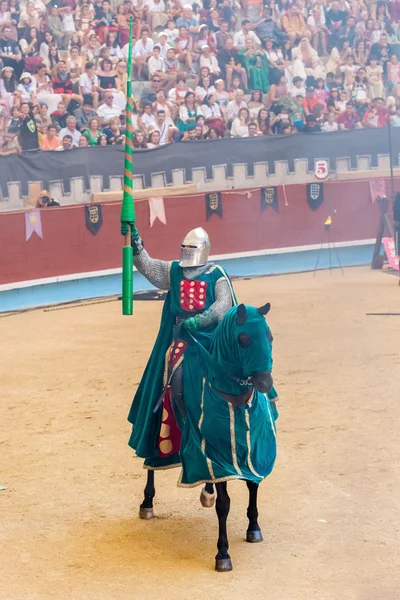 Середньовічних лицарів турніру — стокове фото