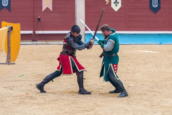 Ortaçağ Şövalyeleri turnuva — Stok fotoğraf