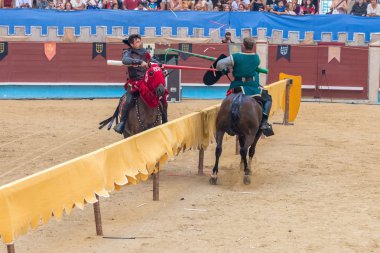 Ortaçağ Şövalyeleri turnuva