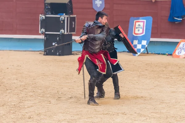 中世纪骑士比赛 — 图库照片
