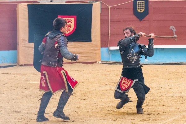 Torneio de cavaleiros medievais — Fotografia de Stock