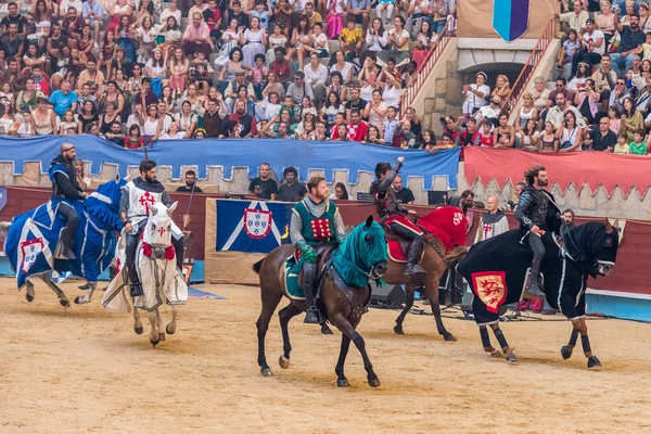 Středověkých rytířů turnaj — Stock fotografie