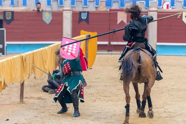 Medieval knights tournament — Stock Photo, Image