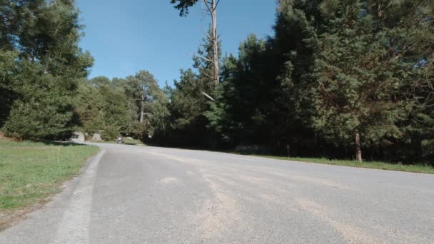 骑着一辆黑色定制摩托车的骑自行车的人沿着马路朝摄像机走去 在一个阳光灿烂的日子里走在森林里的路上 自由和旅行概念 低角度视图 — 图库视频影像