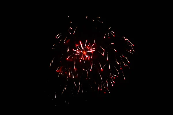 Feuerwerk — Stockfoto