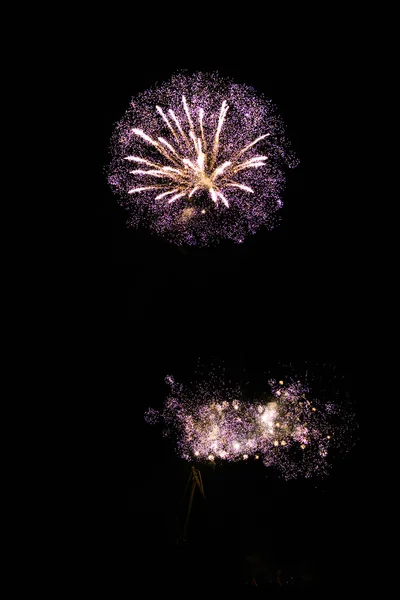 Feuerwerk — Stockfoto