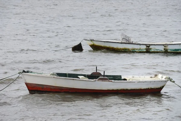 Bateau de pêche sur un mouillage — Photo