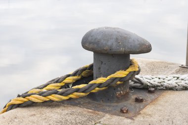 dock portre üzerinde sınır elemanları