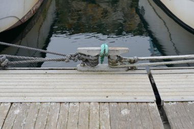 dock portre üzerinde sınır elemanları