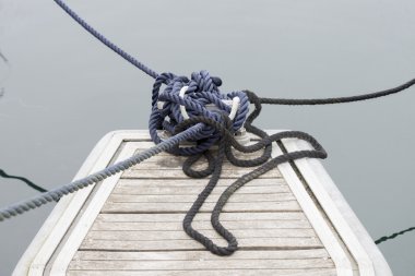 dock portre üzerinde sınır elemanları