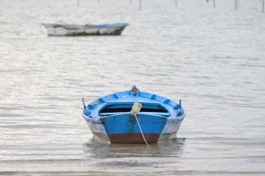 bir demirleme teknede Balık tutma