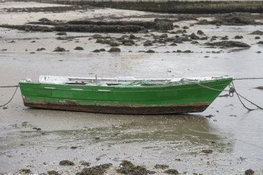 bir demirleme teknede Balık tutma