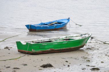 bir demirleme teknede Balık tutma