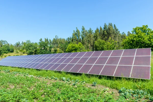 Imagem de painéis solares — Fotografia de Stock