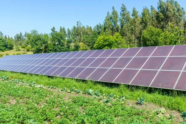 Obrázek ze solárních panelů — Stock fotografie