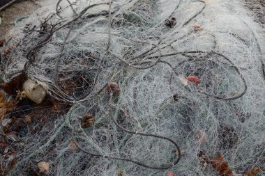 iskelede kurutma sürütme gemi