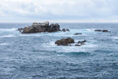 okyanusun üzerinde sörf