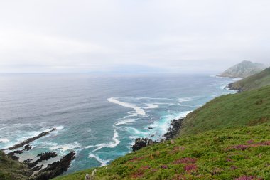 okyanusun üzerinde sörf