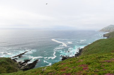 okyanusun üzerinde sörf