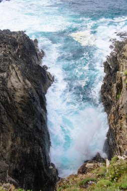 okyanusun üzerinde sörf