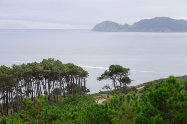 okyanusun üzerinde sörf