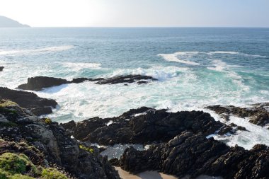 okyanusun üzerinde sörf