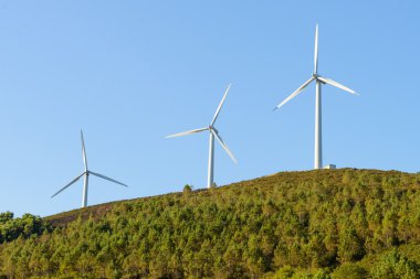 Mavi gökyüzüne karşı rüzgar türbinleri