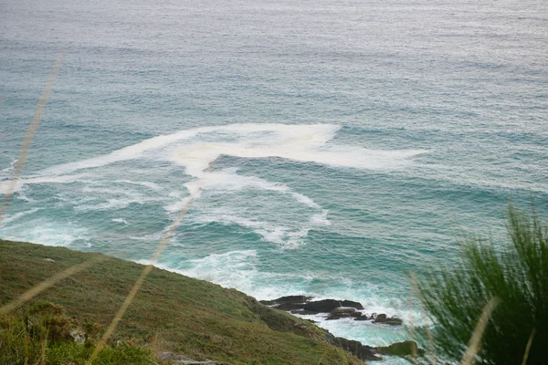 海でサーフィンします。 — ストック写真