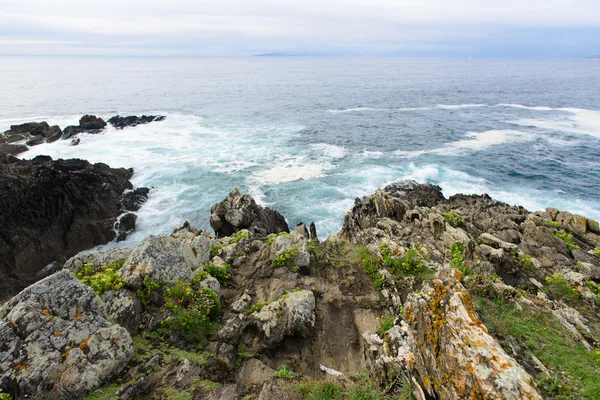 Surfa på havet — Stockfoto