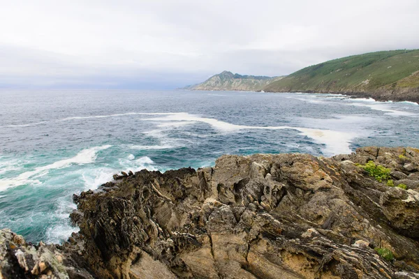 Surfe på havet – stockfoto