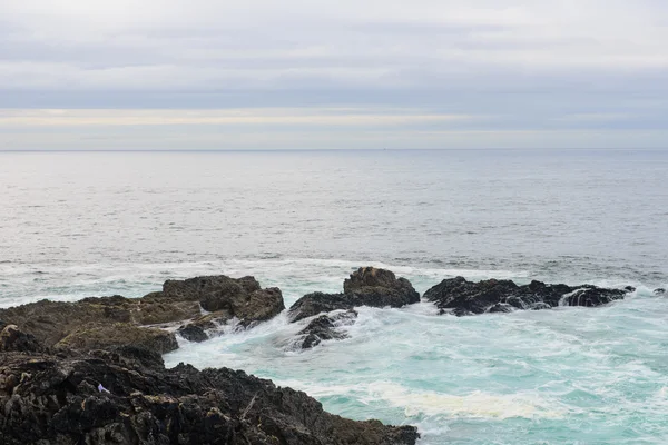 Surf sur l'océan — Photo