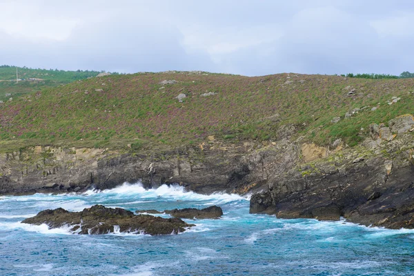 Surfa på havet — Stockfoto