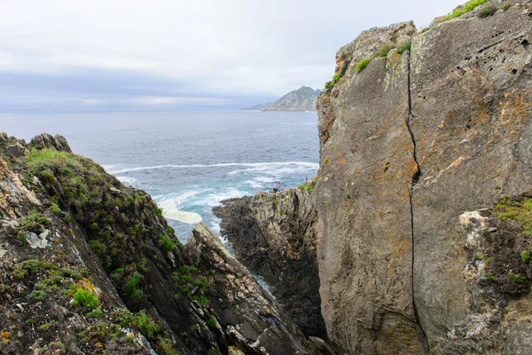 Surfa på havet — Stockfoto