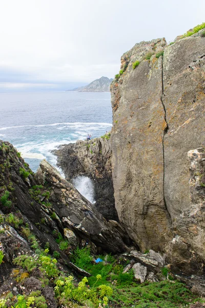 Surfe på havet – stockfoto