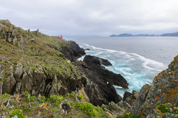 Surfa på havet — Stockfoto