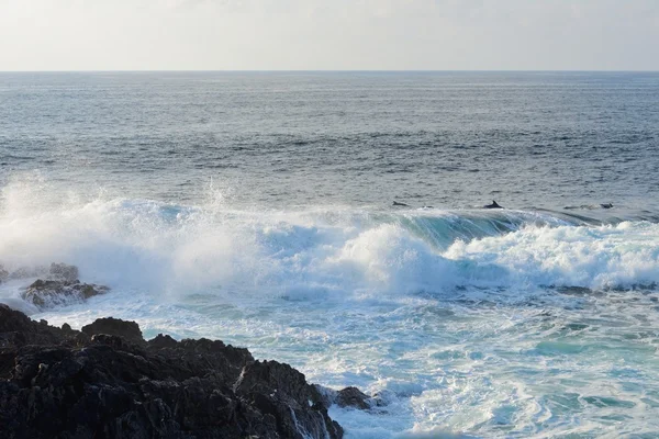 Surfovat na oceánu — Stock fotografie