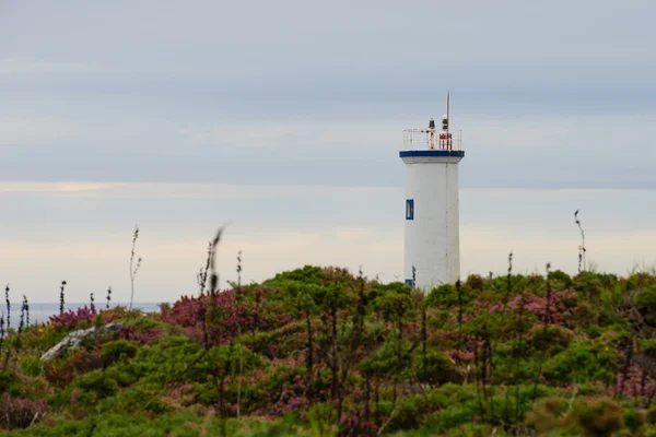 Nézd a világítótorony, az óceán partján — Stock Fotó