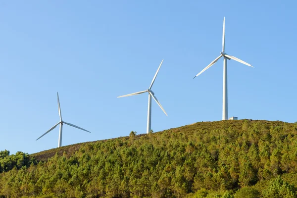 Windturbines tegen de blauwe lucht — Stockfoto